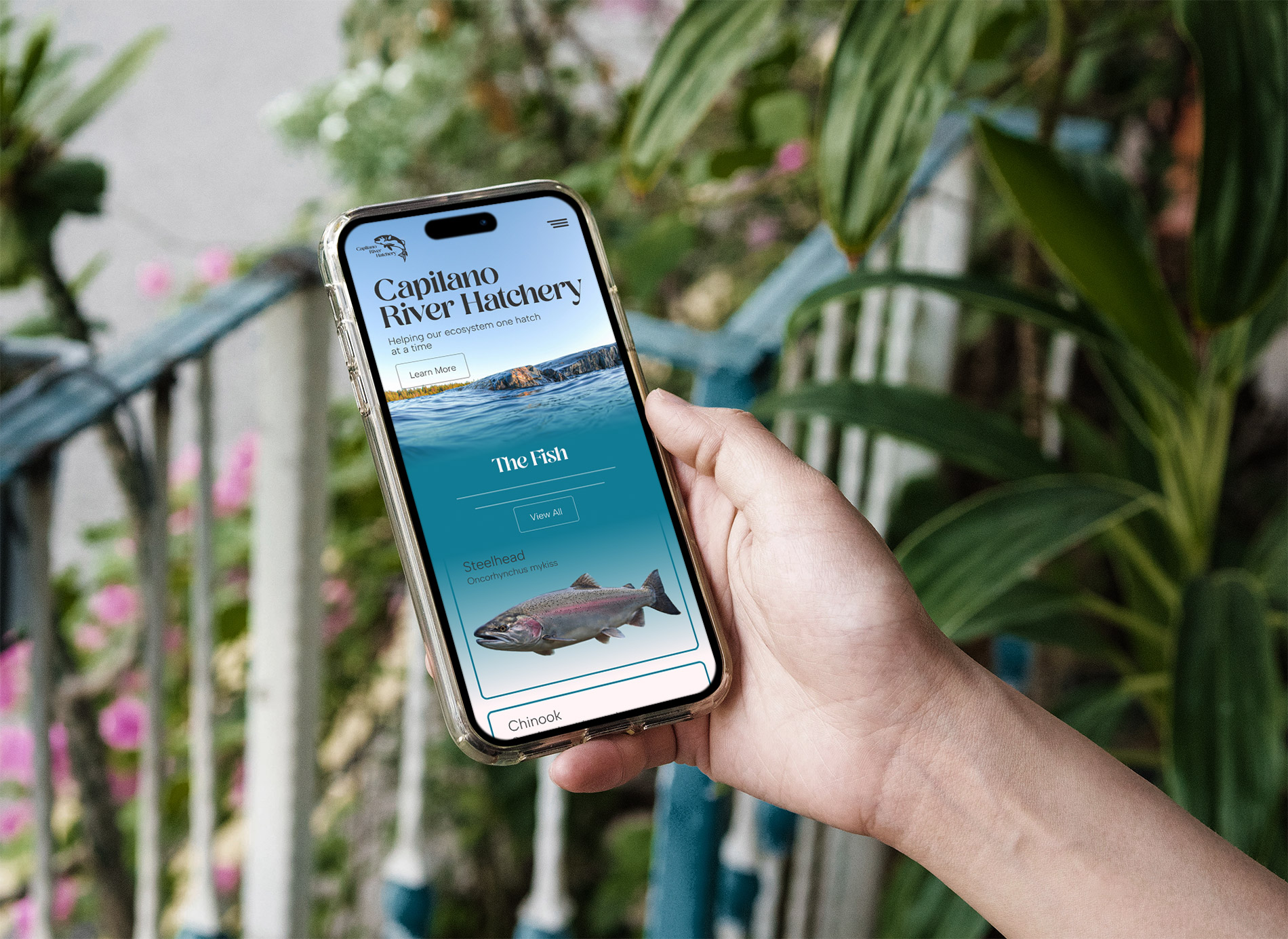 Describe your project