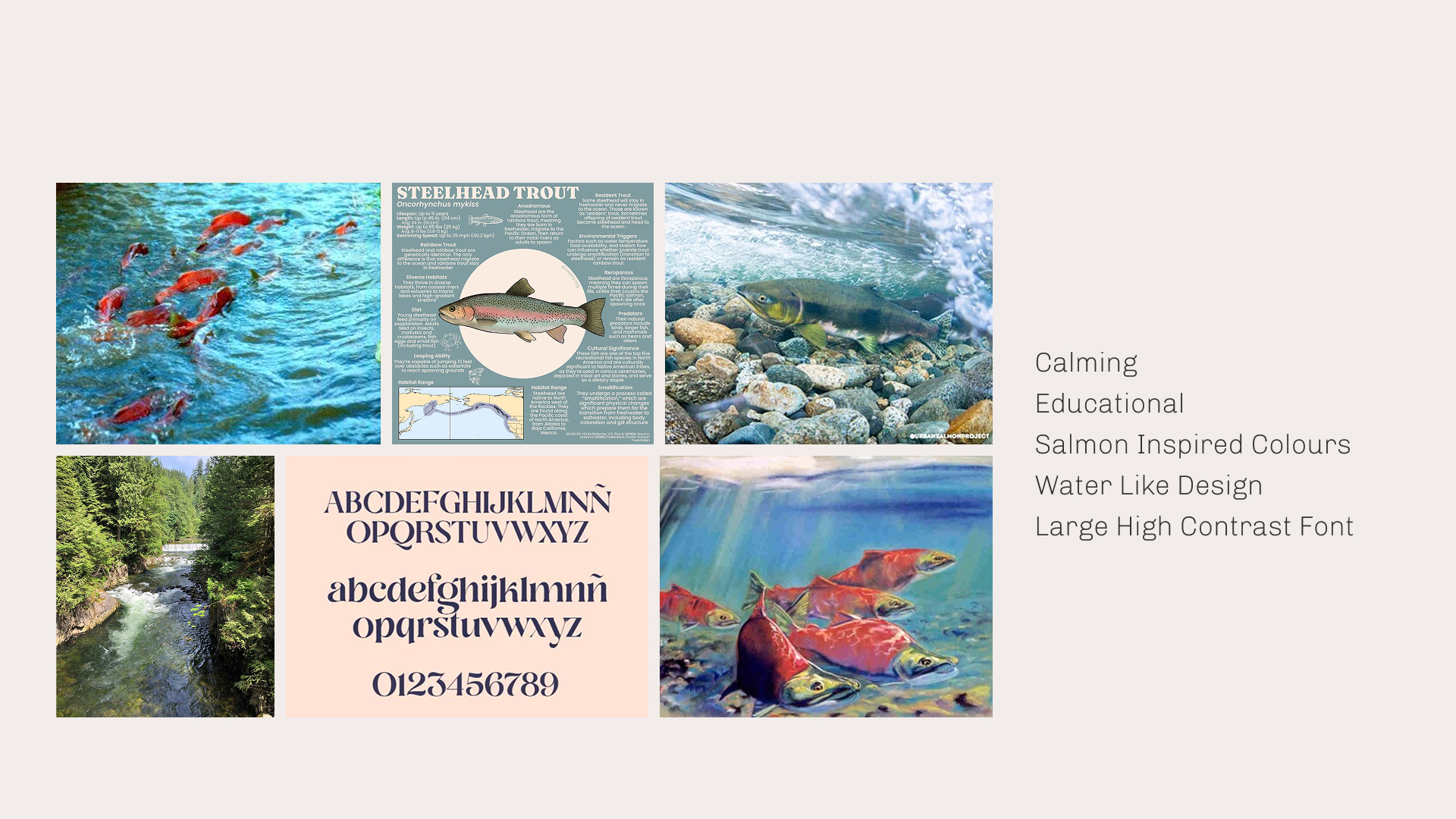 Capilano River Hatchery style guide mood board showing nature imagery, salmon visuals, and typography used to inspire a calming, educational design direction.