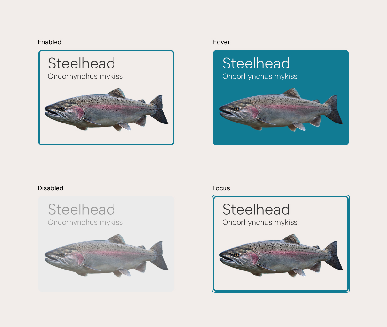 Capilano River Hatchery style guide showing card components in different interaction states.