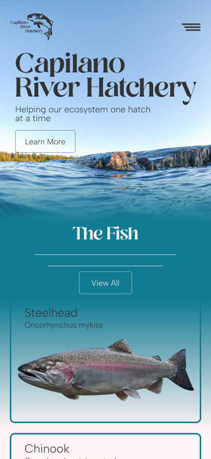 Mobile homepage design for the Capilano River Hatchery website redesign, featuring a hero section, call-to-action button, and fish information cards.
