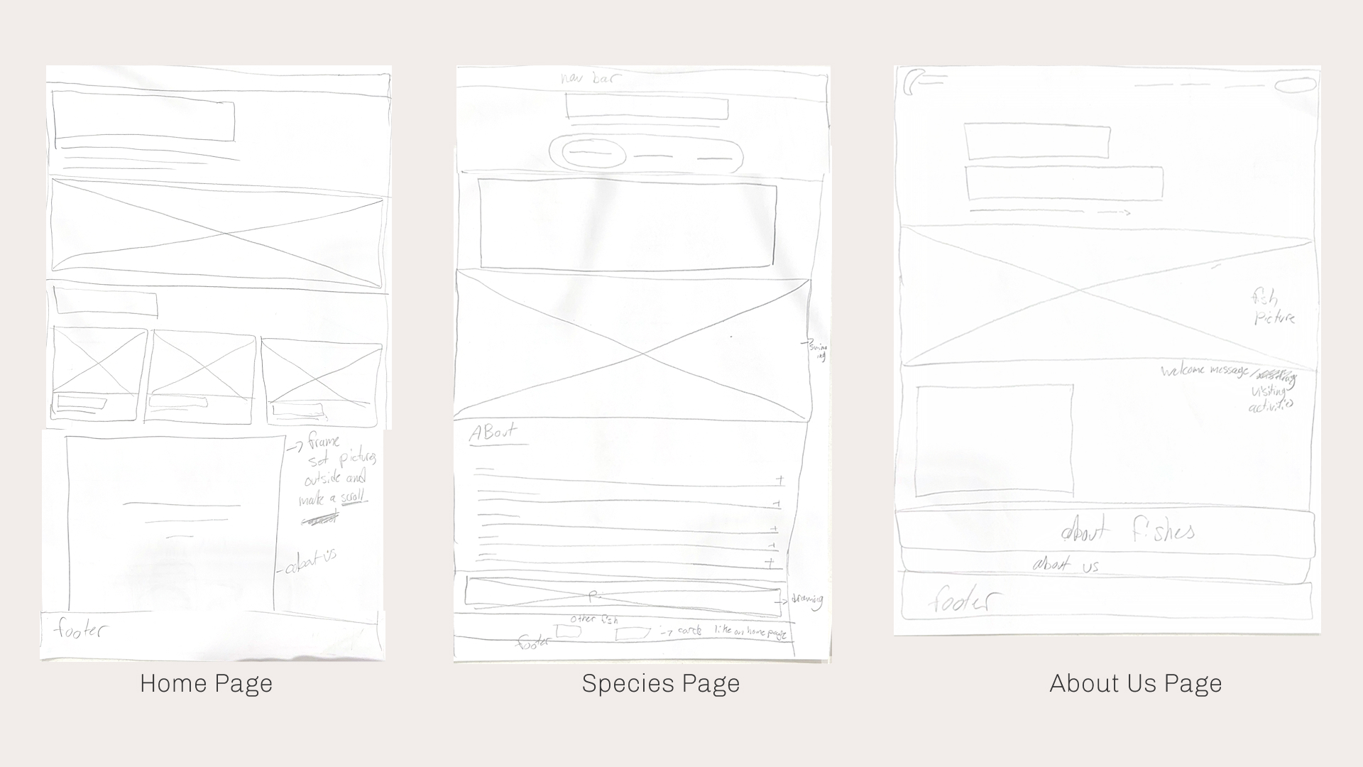 Hand-drawn wireframes for the Capilano River Hatchery website showing layout concepts for the home, species, and about pages.